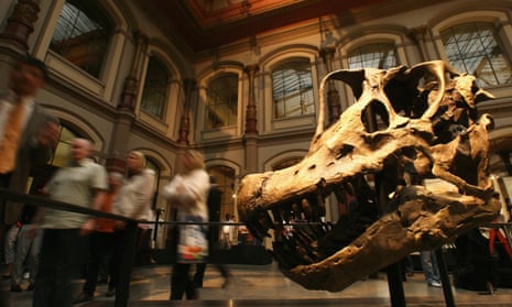 A Brachiosaurus skull at the new rooms of the Museum of Naturkunde in Berlin.