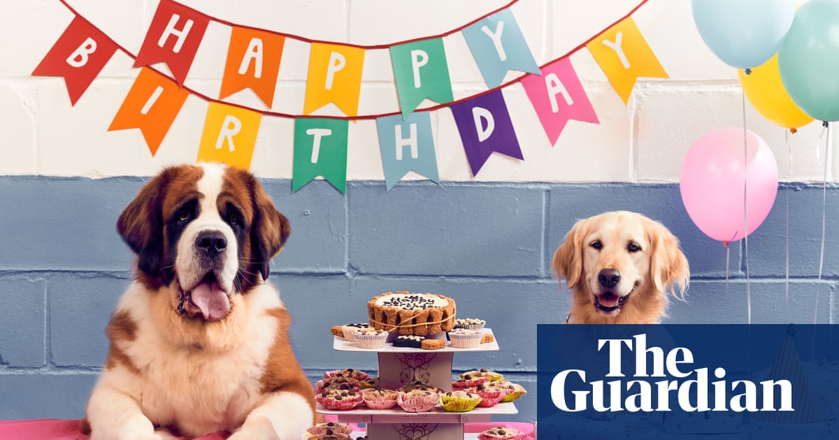 Paws For Thought Can You Really Afford To Get A Dog Pet