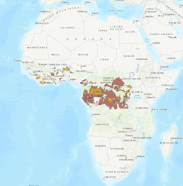 Mapa del grupo de elefantes africanos del bosque