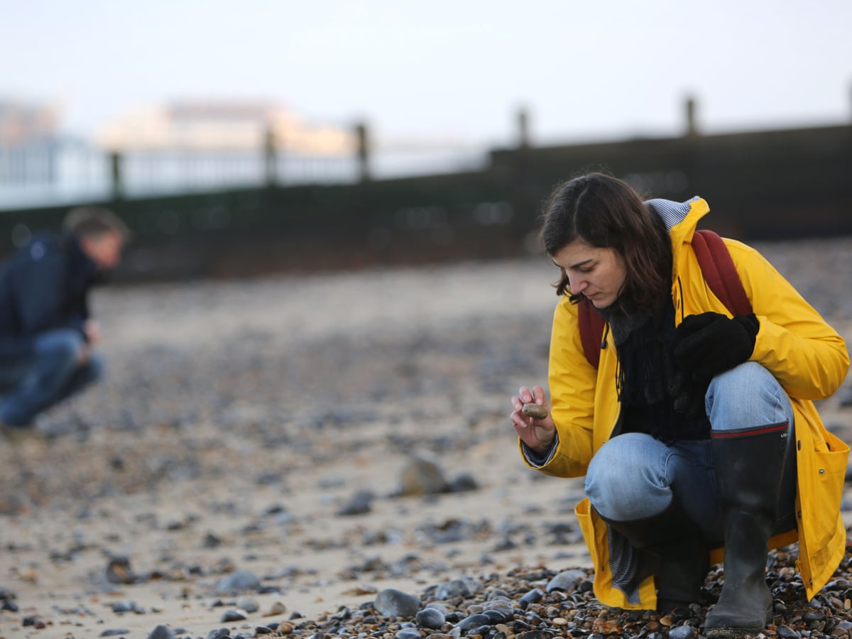 No Stone Unturned My Search For The Pebble Hunter S Holy Grail