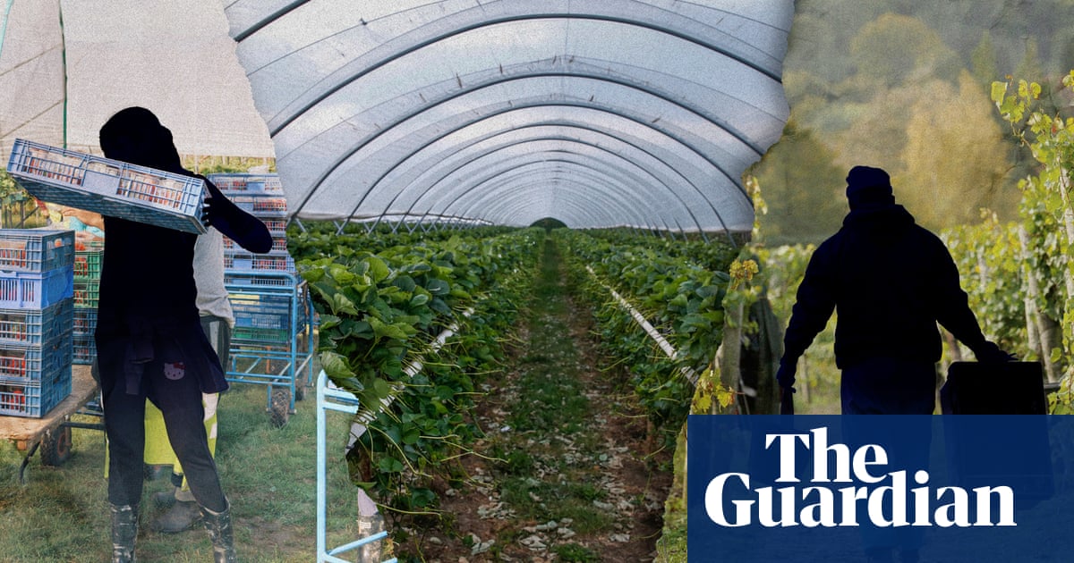 ‘My family need my support to eat’: how Indonesians came to work on a Kent farm