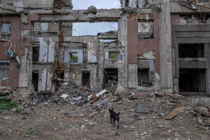 A dog walks near the rubble of the destroyed Mykolaiv oblast governor's building following a missile strike in Mykolaiv on August 17.