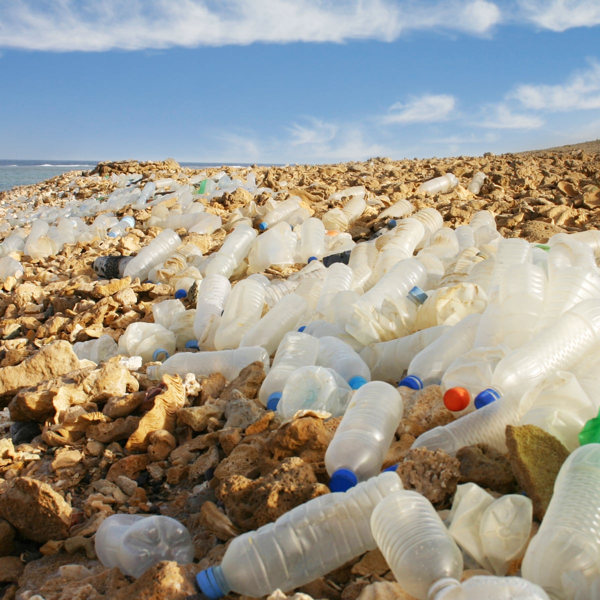 if we care about plastic waste why won t we stop drinking bottled water plastics the guardian