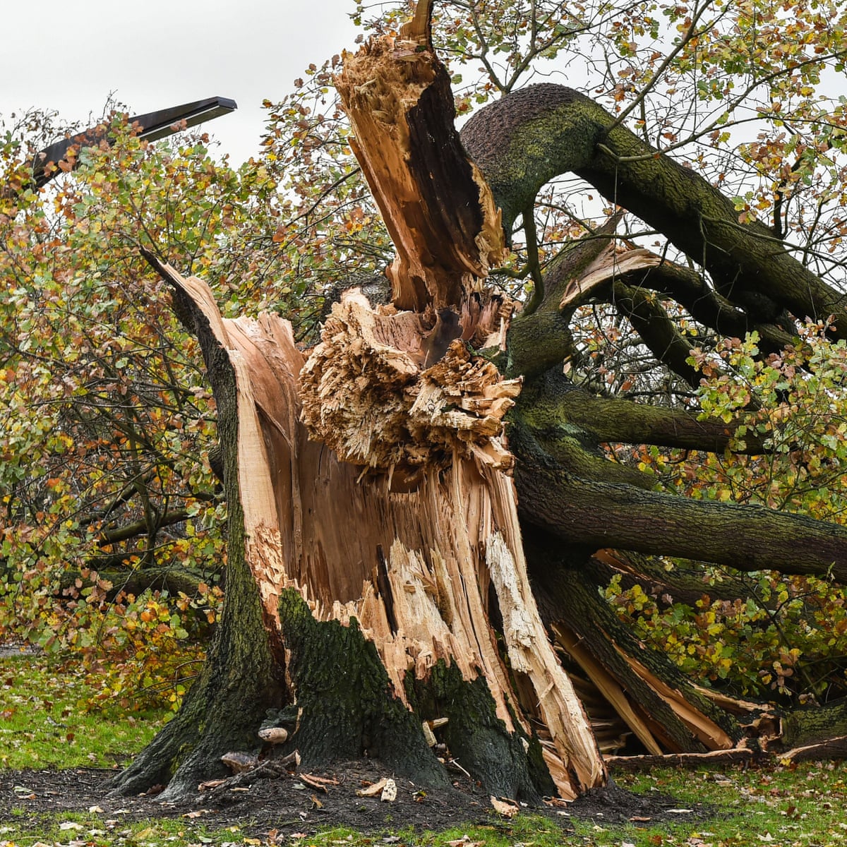 op cvjze2dd01m op cvjze2dd01m