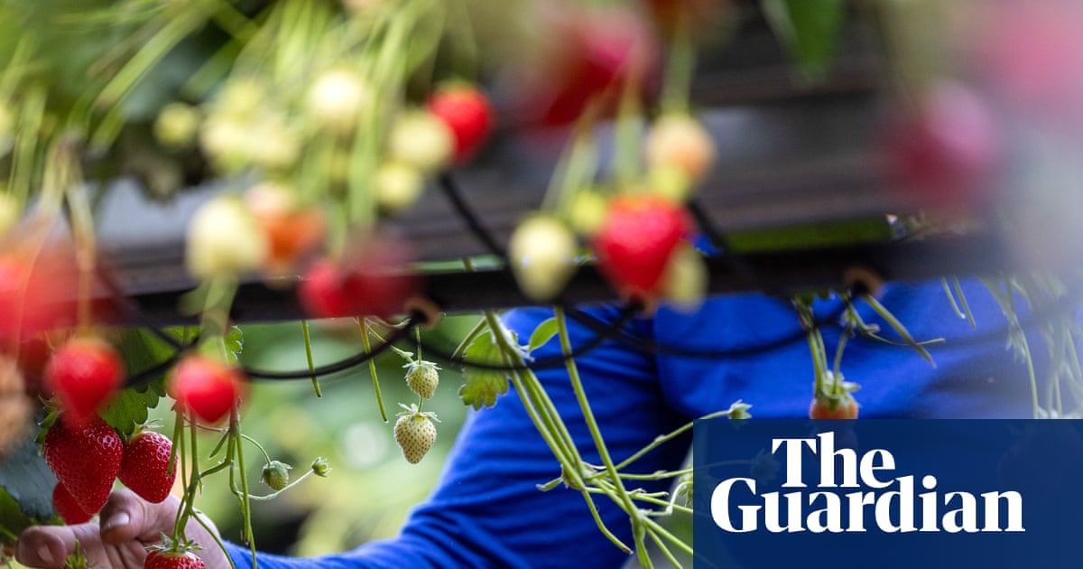 सेन्सबरी का कहना है कि ईरान युद्ध के प्रभाव से इस साल मुनाफे में गिरावट आ सकती है