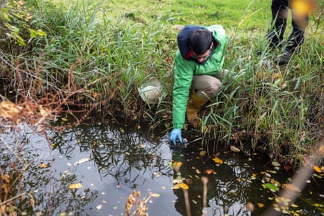 Jorge Casado collects a water sample from a stream