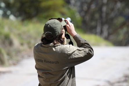 A woman photographed from behind looking through binoculars