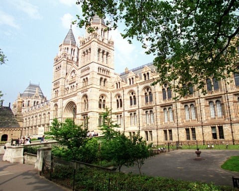 The Natural History Museum in London