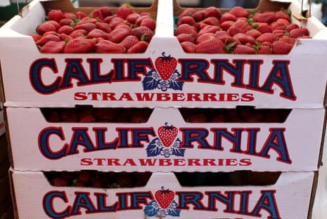 Meyvenin yakından görünümü Pfas kalıntısı