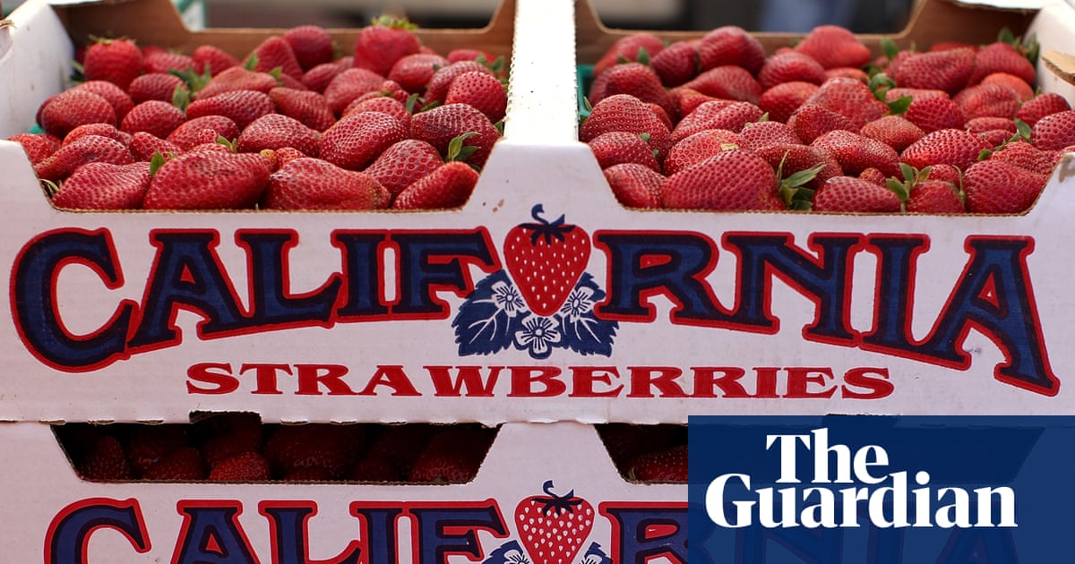 Toxic Pfas residue identified on 37% of California produce, new analysis finds