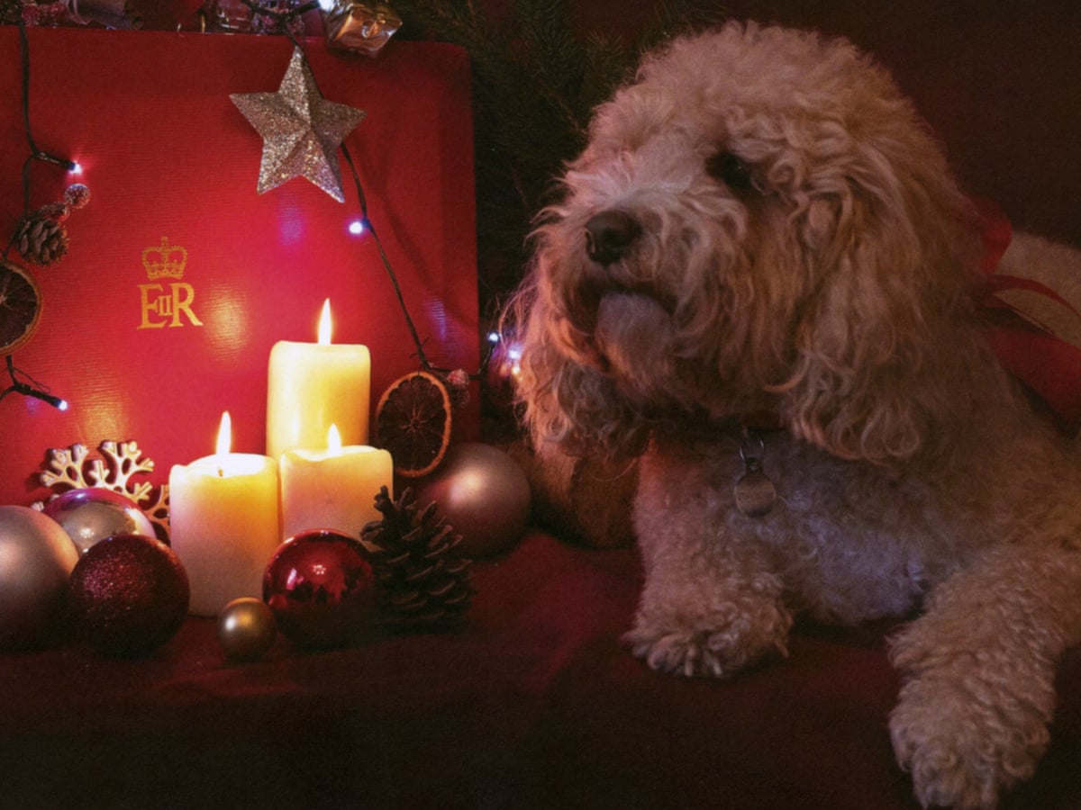 Mps Christmas Cards Spread Cheer After Gruelling Year Politics The Guardian