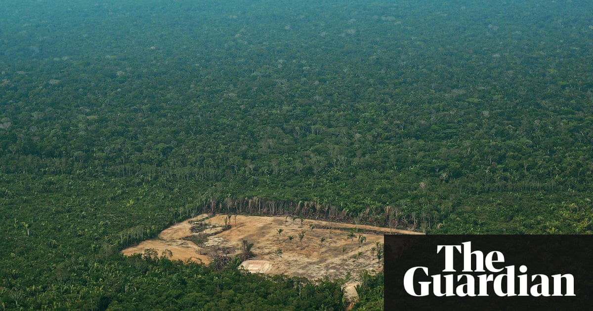 Brazil senate considers lifting ban on sugarcane production in Amazon | World news | The Guardian
