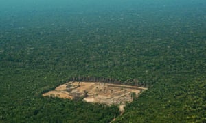 Deforestation in the western Amazon region of Brazil