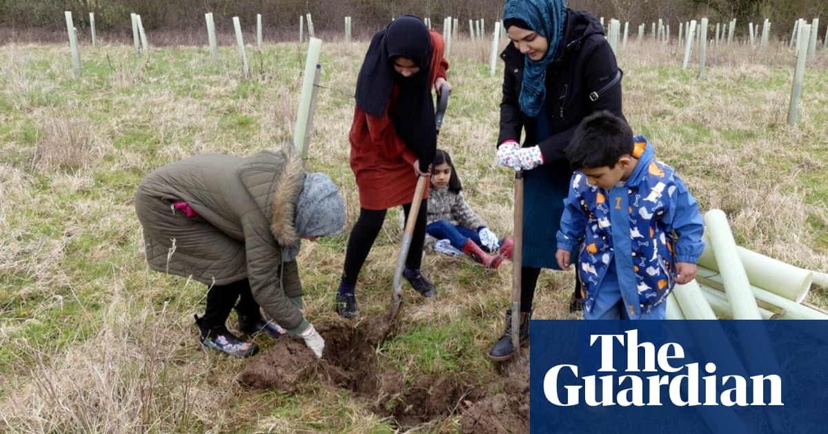 From farm to forest: the volunteers planting 100,000 trees in Somerset