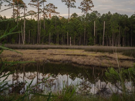 A position of marshland