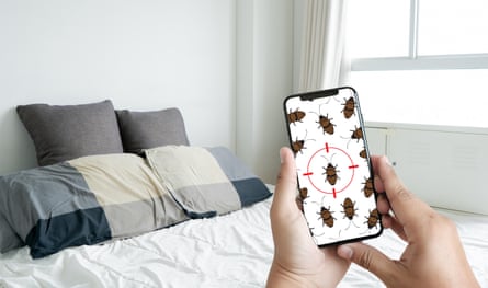 Someone uses a phone in a bedroom to check for bedbugs