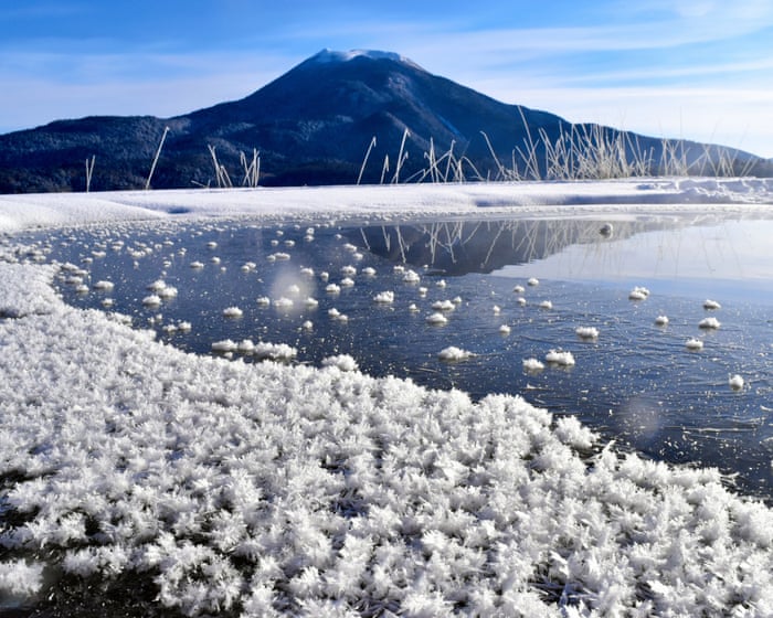 Weatherwatch: How frost flowers turn icy landscapes into beautiful gardens