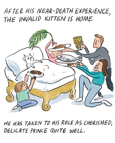 A series of cartoon images of an invalid kitten lying on its back in a bed being waited on by a family, panel 1