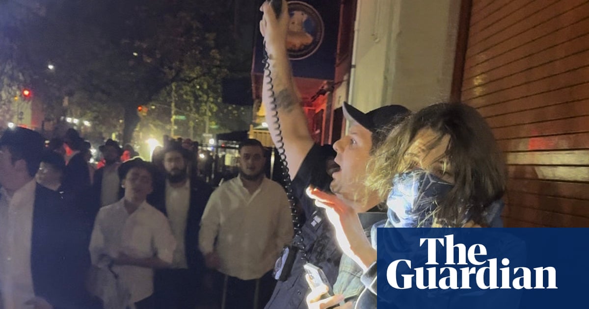 Mob of Orthodox Jewish men chases woman after protest at Brooklyn synagogue