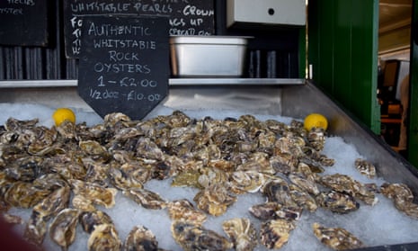 Whitstable oysters on display