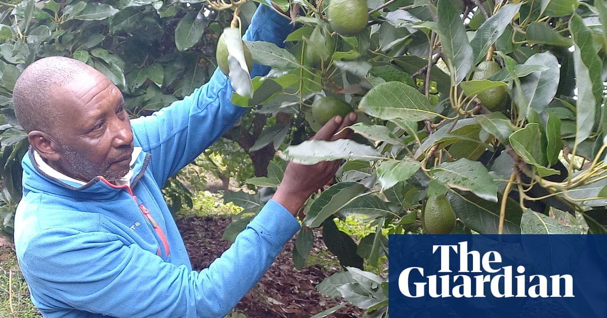 ‘It helped me feed my six children’: how Africa’s first water fund supports farmers to protect Kenya’s biggest river