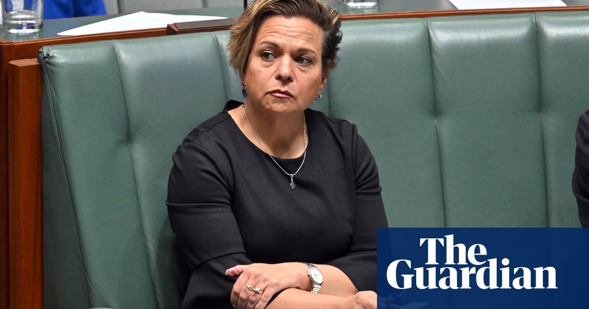 Scale of sexual violence online ‘difficult to comprehend’, minister says ahead of Australian roundtable