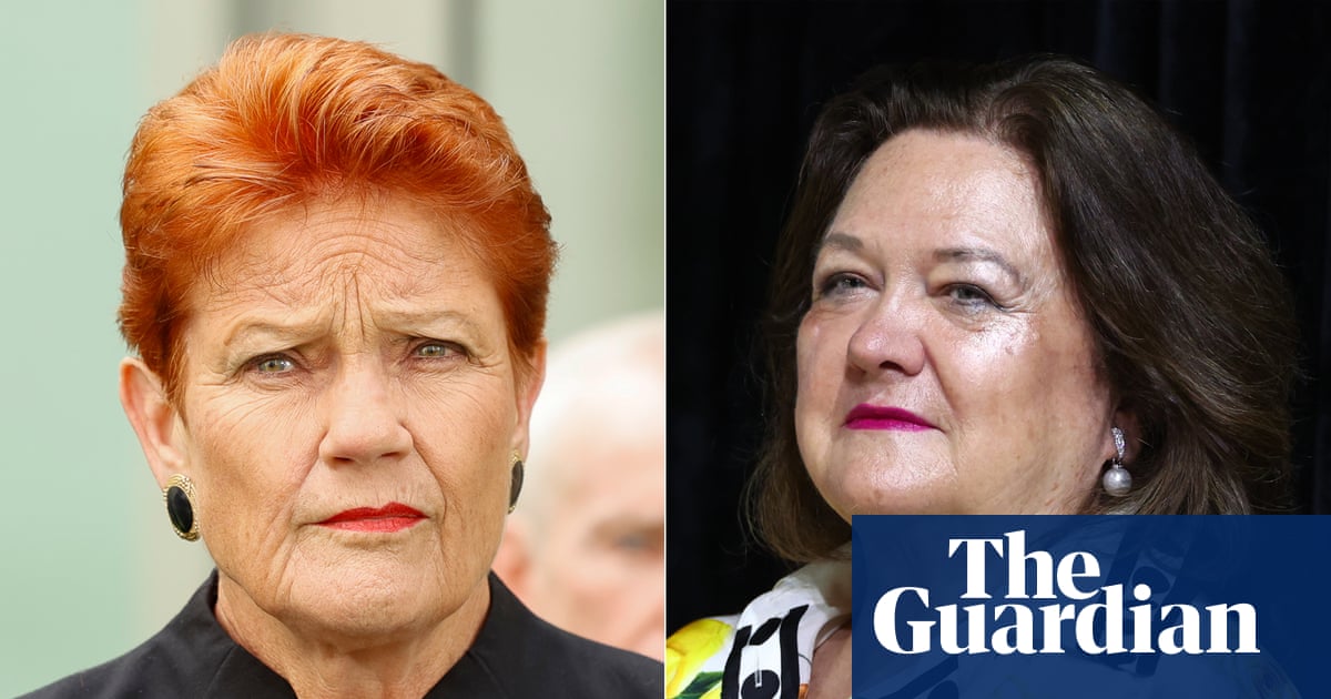 Pauline Hanson failed to declare another flight from billionaire Gina Rinehart’s company