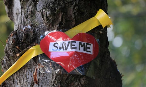 A “save me” message  on a tree.