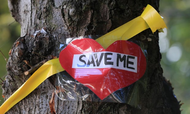 A message on a tree in Sheffield
