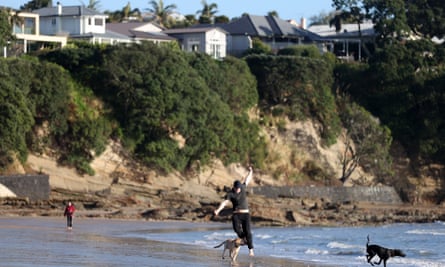 A person and dogs run on Narrow Neck Beach in New Zealand