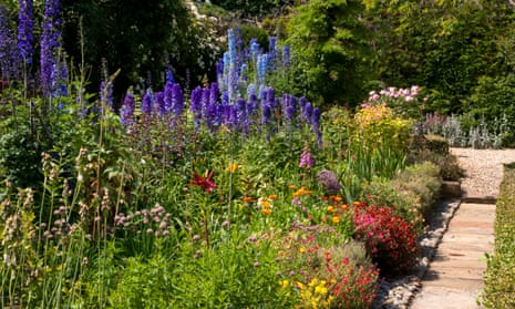 Name that plant: a summer cottage garden.