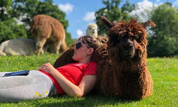 woman and alpaca