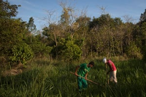 Working on a reforestation project in the Atlantic forest