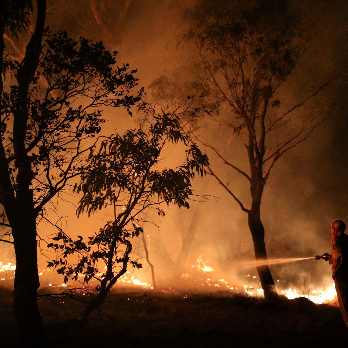 Summer S Bushfires Released More Carbon Dioxide Than Australia Does In A Year Bushfires The Guardian