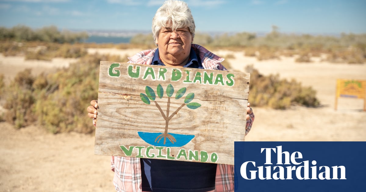 The Mexican women who defied drug-dealers, fly-tippers and chauvinists to build a thriving business | Oceans The Mexican women who defied drug-dealers, fly-tippers and chauvinists to build a thriving business | Oceans