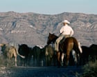 Labor lifts ban on US beef, saying new measures ‘effectively’ manage biosecurity risks