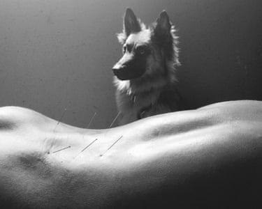 Murcia, Spain ‘Xarpa the dog keeping an eye on my son while he has acupuncture for back pain.’