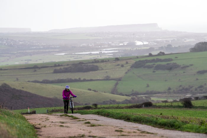 England brings in biodiversity net gain rules