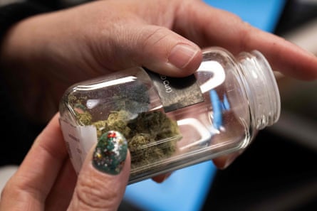 A customer looks at cannabis buds