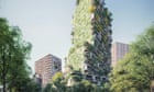 Utrecht rooftops to be 'greened' with plants and mosses in new plan