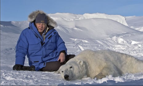 Sir David Attenborough with an anaesthetised polar bear in Svalbard.