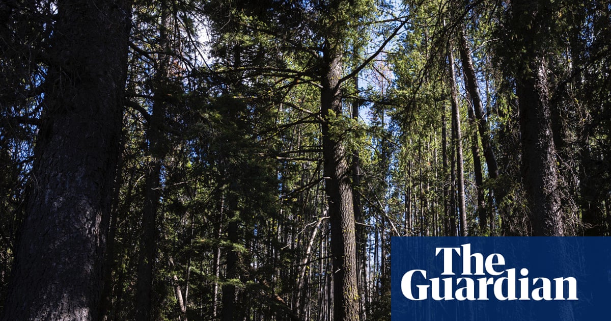 She left her desk job and walked 3,541 miles from Mexico to Canada: ‘Give yourself permission’