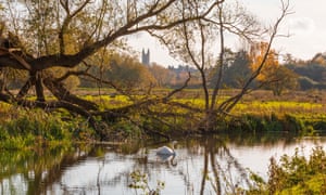 River Waveney at Bungay Common.