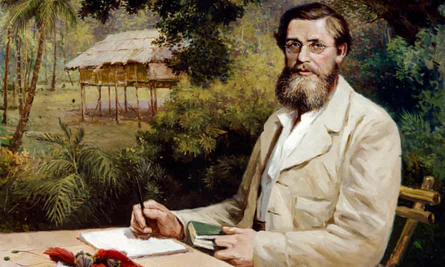 A portrait of Alfred Russel Wallace, whose paper on the theory of evolution was presented in Burlington House in 1858.