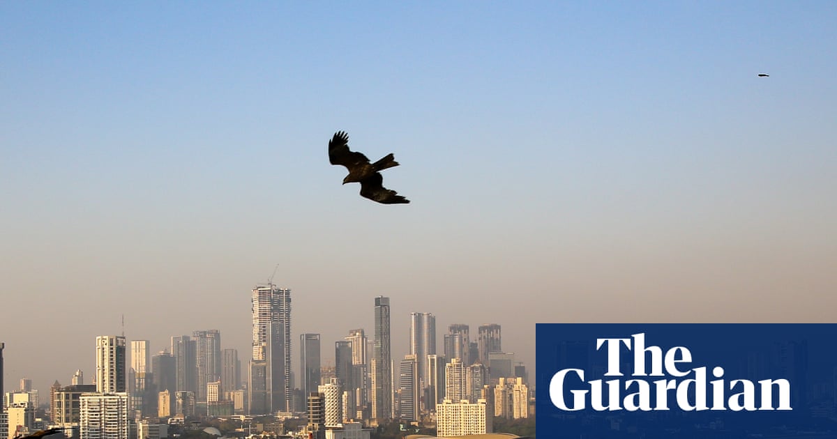 What would it take to make India's cities better - and safer?
