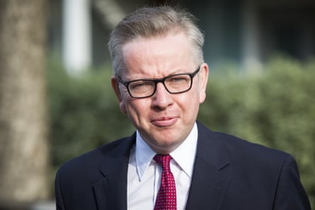 Justice Secretary and leading Brexit campaigner Michael Gove announced his intention to run for the next Conservative party leader and prime minister.