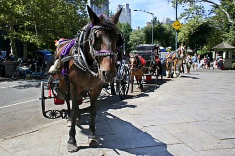 horse carriages along a road