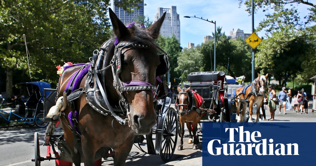 New York City moves to ban horse-drawn carriages