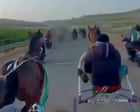 Sicily police investigate illegal race with horse-drawn carts and Kalashnikovs