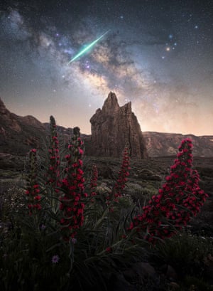 A close-up of red flowers with dramatic rock in the distance, above the night sky